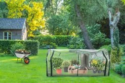 Kinzo Garden Broeikas - Tunnelkas - Met Rits - Staal - 130x60x50cm 17 Kinzo Garden Broeikas - Tunnelkas - Met Rits - Staal - 130x60x50cm -Tuin En Buiten 1200x800 169