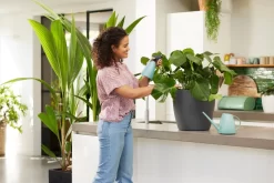 Elho Brussels Gieter 1,8l - Gieter Voor Binnenkweken En Oogsten - Ø 33.0 X H 17.0 Cm - Groen/Mint -Tuin En Buiten 1200x800 48