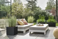 Elho Vivo Next Vierkant 30 - Plantenbak Voor Binnen & Buiten - Ø 29.5 X H 29.5 Cm - Zwart/Living Black -Tuin En Buiten 1200x800 58