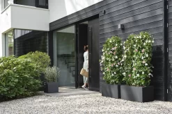 Elho Vivo Next Vierkant 40 - Plantenbak Voor Binnen & Buiten - Ø 39.0 X H 37.9 Cm - Zwart/Living Black 23 Elho Vivo Next Vierkant 40 - Plantenbak Voor Binnen & Buiten - Ø 39.0 X H 37.9 Cm - Zwart/Living Black -Tuin En Buiten 1200x800 63