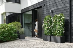 Elho Vivo Next Vierkant 40 - Plantenbak Voor Binnen & Buiten - Ø 39.0 X H 37.9 Cm - Zwart/Living Black 29 Elho Vivo Next Vierkant 40 - Plantenbak Voor Binnen & Buiten - Ø 39.0 X H 37.9 Cm - Zwart/Living Black -Tuin En Buiten 1200x800 64