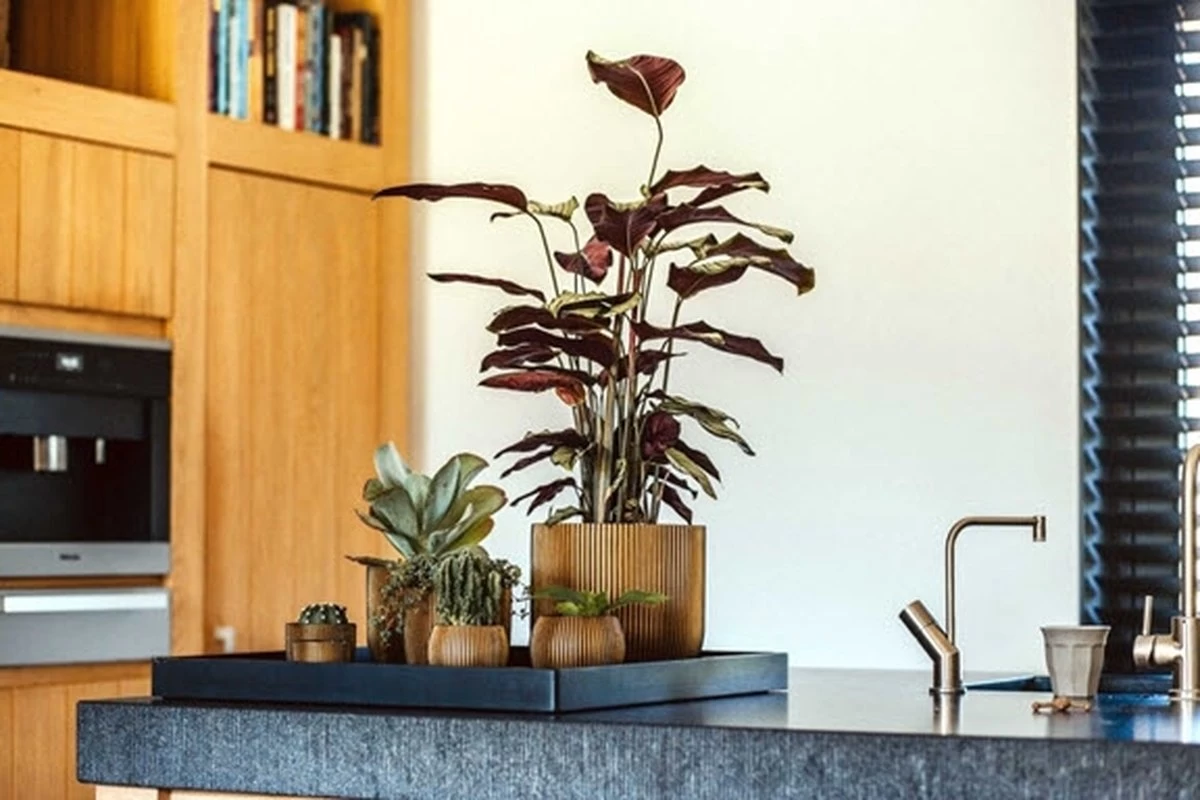 Capi Europe - Bloempot Bol Groove XL - 33x35 - Goud - Bloempot Voor Binnen - Opening ⌀28 - GVGB932 3 Capi Europe - Bloempot Bol Groove XL - 33x35 - Goud - Bloempot Voor Binnen - Opening ⌀28 - GVGB932 - Afbeelding 3