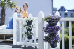 Elho Corsica Vertical Forest 24 - Bloempot Voor Balkonbuiten - Ø 26.7 X H 29.7 Cm - Zwart/Antraciet 23 Elho Corsica Vertical Forest 24 - Bloempot Voor Balkonbuiten - Ø 26.7 X H 29.7 Cm - Zwart/Antraciet -Tuin En Buiten 1200x800 77