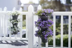 Elho Corsica Vertical Forest 24 - Bloempot Voor Balkonbuiten - Ø 26.7 X H 29.7 Cm - Zwart/Antraciet 32 Elho Corsica Vertical Forest 24 - Bloempot Voor Balkonbuiten - Ø 26.7 X H 29.7 Cm - Zwart/Antraciet -Tuin En Buiten 1200x800 78