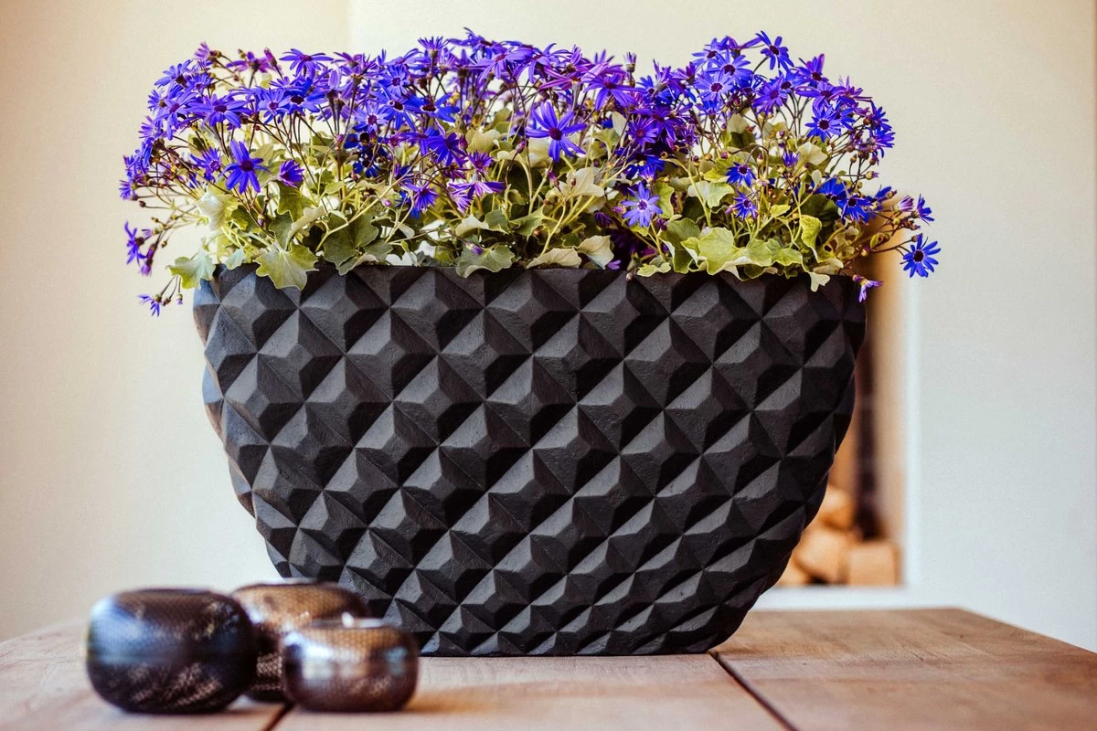 Capi Europe - Bloempot Ovaal Heraldry - 60x35 - Zwart - Bloempot Voor Binnen - BSBI841 2 Capi Europe - Bloempot Ovaal Heraldry - 60x35 - Zwart - Bloempot Voor Binnen - BSBI841 - Afbeelding 2