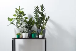 Elho B.for Soft Rond 30 - Bloempot Voor Binnen - Ø 29.5 X H 27.6 Cm - Antraciet 17 Elho B.for Soft Rond 30 - Bloempot Voor Binnen - Ø 29.5 X H 27.6 Cm - Antraciet -Tuin En Buiten 1200x800 83