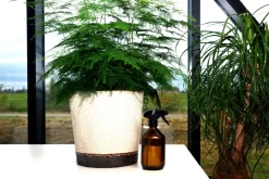 24DOTS Living Plantenspuit | 500 Ml Bruin Amber Glas | Plantensproeier | Plantenspuit Binnen | Waterverstuiver | Vernevelaar -Tuin En Buiten 1200x803