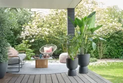 Elho Pure Coupe 35 - Bloempot Voor Binnen & Buiten - Ø 34.9 X H 49.0 Cm - Zwart/Zwart 34 Elho Pure Coupe 35 - Bloempot Voor Binnen & Buiten - Ø 34.9 X H 49.0 Cm - Zwart/Zwart -Tuin En Buiten 1200x805 2