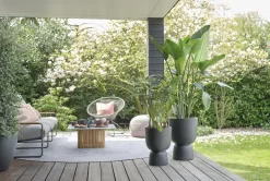 Elho Pure Coupe 41 - Bloempot Voor Binnen & Buiten - Ø 41.3 X H 57.9 Cm - Zwart/Zwart -Tuin En Buiten 1200x805 3