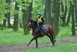 Aqua2Go GD86 Staand Electrische Pressure Washer - 20 Liter Tank - Afneembare Pomp -Tuin En Buiten 1200x817 4