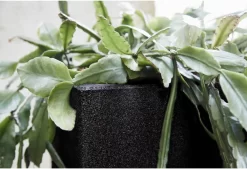 Capi Europe - Bloempot Vierkant Smooth NL - 40x40x40 - Zwart - Voor Binnen En Buiten - KBL903 -Tuin En Buiten 1200x820 1