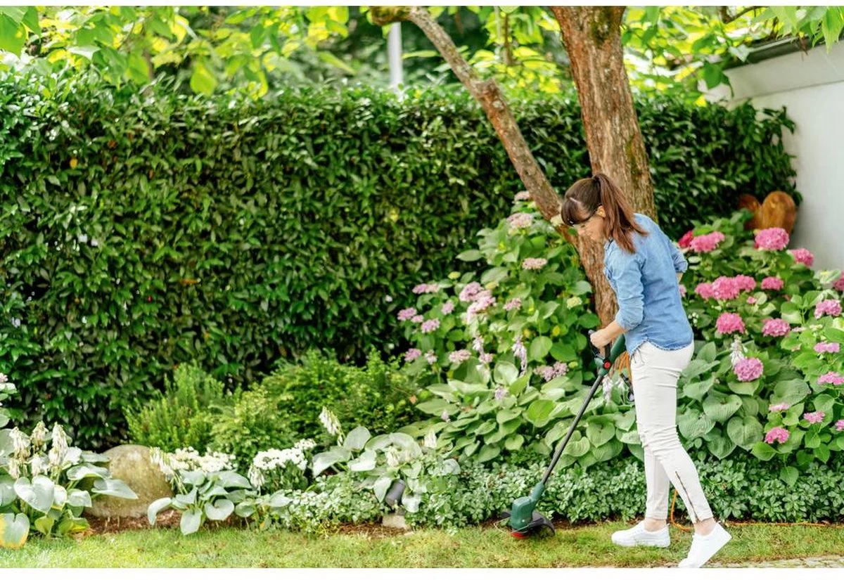 Bosch EasyGrassCut 23 Grastrimmer - Op Snoer - 230 V - Snijbreedte 23 Cm 2 Bosch EasyGrassCut 23 Grastrimmer - Op Snoer - 230 V - Snijbreedte 23 Cm - Afbeelding 2