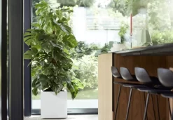 Elho Vivo Matt Finish Vierkant Wielen 40 - Grote Plantenbak Voor Binnen & Buiten - Gemaakt Van Gereycled Plastic - L 39 X W 39 X H 41 Cm - Wit -Tuin En Buiten 1200x832