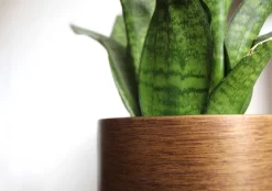 Capi Europe - Bloempot Bol Retro - 23x21 - Goud - Bloempot Voor Binnen - BRTG134 -Tuin En Buiten 1200x844 3