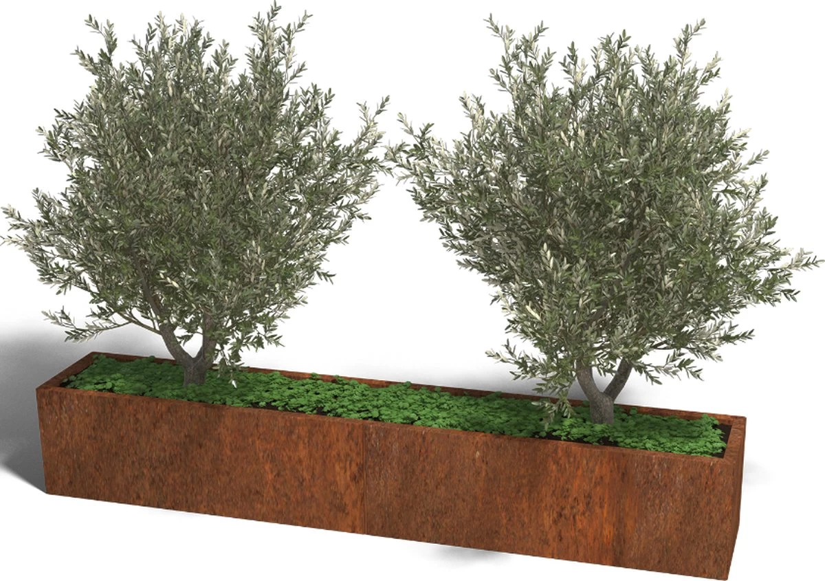 MySteel Cortenstaal Plantenbak Texas Xxl L240 X B40 Cm - Hoogte: 40 Cm 1 MySteel Cortenstaal Plantenbak Texas Xxl L240 X B40 Cm - Hoogte: 40 Cm