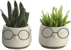 2x Bloempot Met Gezicht - Ø8 X H6,5 Cm - Bloempotten Voor Binnen Met Bril/Face/Hoofd