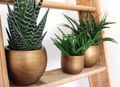 Capi Europe - Bloempot Bol Retro - 23x21 - Goud - Bloempot Voor Binnen - BRTG134 -Tuin En Buiten 1200x876 1