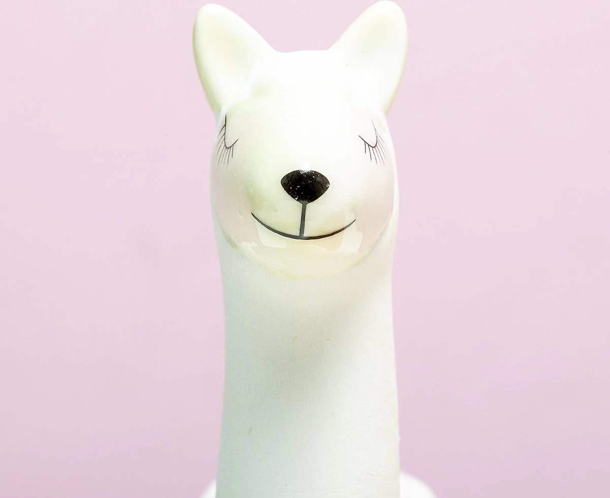 Gift Republic Lama Bloempot Met Zaadjes 1 Gift Republic Lama Bloempot Met Zaadjes