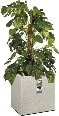 Elho Vivo Structure Finish Vierkant 40 - Plantenbak Voor Binnen & Buiten - Ø 39 X H 41 - Grijs/Warm Grijs 16 Elho Vivo Structure Finish Vierkant 40 - Plantenbak Voor Binnen & Buiten - Ø 39 X H 41 - Grijs/Warm Grijs -Tuin En Buiten 613x1200 2