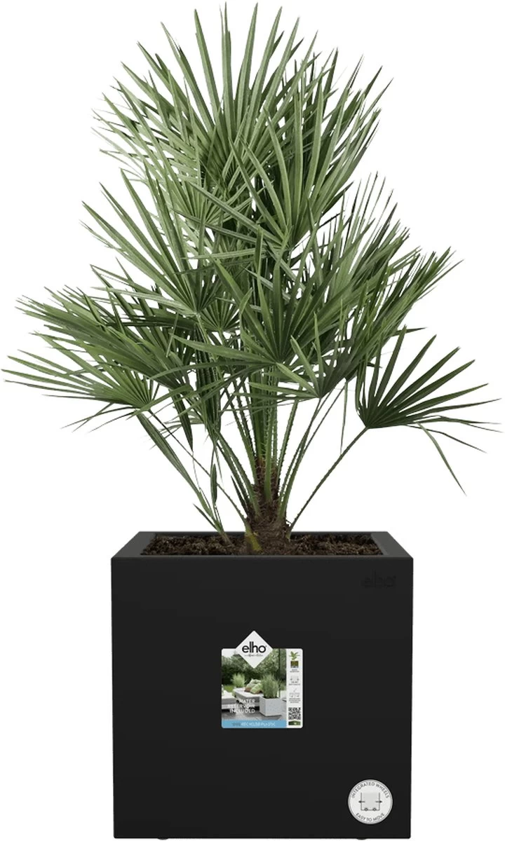 Elho Vivo Next Vierkant 40 - Plantenbak Voor Binnen & Buiten - Ø 39.0 X H 37.9 Cm - Zwart/Living Black 14 Elho Vivo Next Vierkant 40 - Plantenbak Voor Binnen & Buiten - Ø 39.0 X H 37.9 Cm - Zwart/Living Black - Afbeelding 14
