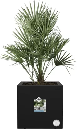 Elho Vivo Next Vierkant 30 - Plantenbak Voor Binnen & Buiten - Ø 29.5 X H 29.5 Cm - Zwart/Living Black -Tuin En Buiten 720x1200