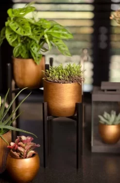 Capi Europe - Bloempot Bol Retro - 23x21 - Goud - Bloempot Voor Binnen - BRTG134 -Tuin En Buiten 792x1200