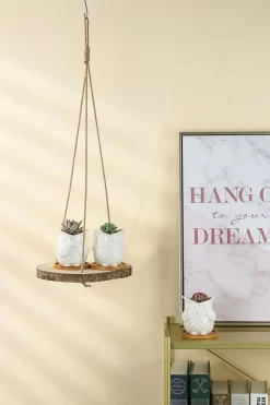 Set Van 2 Boomstam Rond Wandrek Plantenhangers - Boho Jute Houten Plantenrek - Hangpot Voor Binnen/Buiten - Hangende Bloempot Plank - Hangplant Houder - Bohemian Macrame Stijl Wandhanger - Hangplank Plant Hanger - Planthanger - Ø Rond 25-20cm -Tuin En Buiten 799x1200 18