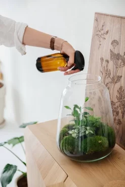 24DOTS Living Plantenspuit | 500 Ml Bruin Amber Glas | Plantensproeier | Plantenspuit Binnen | Waterverstuiver | Vernevelaar -Tuin En Buiten 800x1200 17