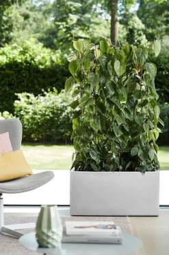 Elho Vivo Structure Finish Lang 90 - Plantenbak Voor Binnen & Buiten - Ø 88 X H 41 - Wit -Tuin En Buiten 800x1200 30