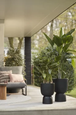 Elho Pure Coupe 35 - Bloempot Voor Binnen & Buiten - Ø 34.9 X H 49.0 Cm - Zwart/Zwart 37 Elho Pure Coupe 35 - Bloempot Voor Binnen & Buiten - Ø 34.9 X H 49.0 Cm - Zwart/Zwart -Tuin En Buiten 800x1200 35