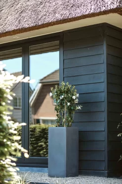 Capi Europe - Bloempot Rechthoek Smooth NL - 36x36x79 - Zwart - Voor Binnen En Buiten - KBL952 21 Capi Europe - Bloempot Rechthoek Smooth NL - 36x36x79 - Zwart - Voor Binnen En Buiten - KBL952 -Tuin En Buiten 800x1200 37