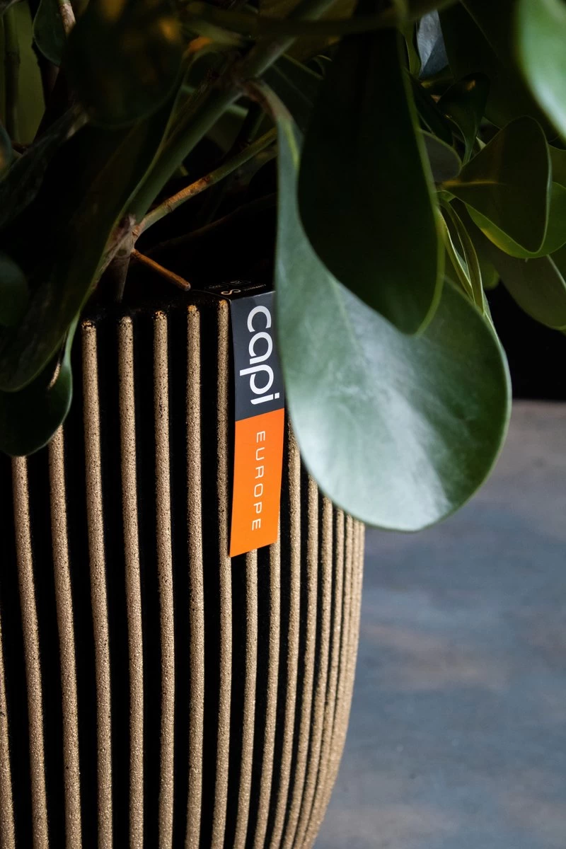 Capi Europe - Bloempot Bol Groove NL - 43x41 - Zwart - Voor Binnen En Buiten - KGVBL933 2 Capi Europe - Bloempot Bol Groove NL - 43x41 - Zwart - Voor Binnen En Buiten - KGVBL933 - Afbeelding 2