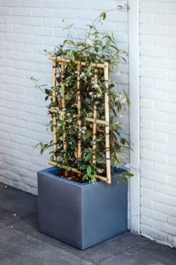 Capi Europe - Bloempot Vierkant Smooth NL - 40x40x40 - Zwart - Voor Binnen En Buiten - KBL903 -Tuin En Buiten 800x1200 41