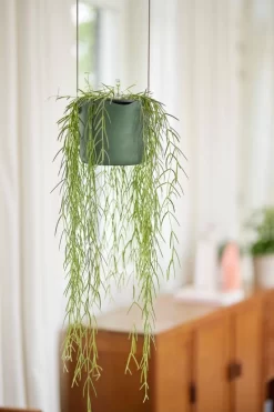 Elho B.for Swing 18 Hangpot - Bloempot Voor Binnen - Ø 18.0 X H 16.5 Cm - Groen/Blad Groen -Tuin En Buiten 800x1200 50