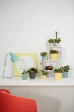 Elho Brussels Rond Mini 7 - Bloempot Voor Binnen - Ø 6.7 X H 6.0 Cm - Zwart/Antraciet -Tuin En Buiten 800x1200 55