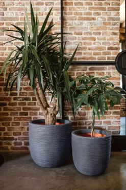 Capi Europe - Bloempot Bol Rib NL - 35x34 - Ivoor - Voor Binnen En Buiten - KOFI932 22 Capi Europe - Bloempot Bol Rib NL - 35x34 - Ivoor - Voor Binnen En Buiten - KOFI932 -Tuin En Buiten 800x1200 56