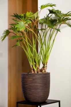 Capi Europe - Bloempot Bol Rib NL - 35x34 - Ivoor - Voor Binnen En Buiten - KOFI932 25 Capi Europe - Bloempot Bol Rib NL - 35x34 - Ivoor - Voor Binnen En Buiten - KOFI932 -Tuin En Buiten 800x1200 57