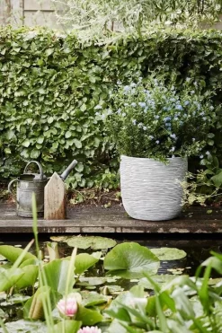 Capi Europe - Bloempot Bol Rib NL - 35x34 - Ivoor - Voor Binnen En Buiten - KOFI932 26 Capi Europe - Bloempot Bol Rib NL - 35x34 - Ivoor - Voor Binnen En Buiten - KOFI932 -Tuin En Buiten 800x1200 58