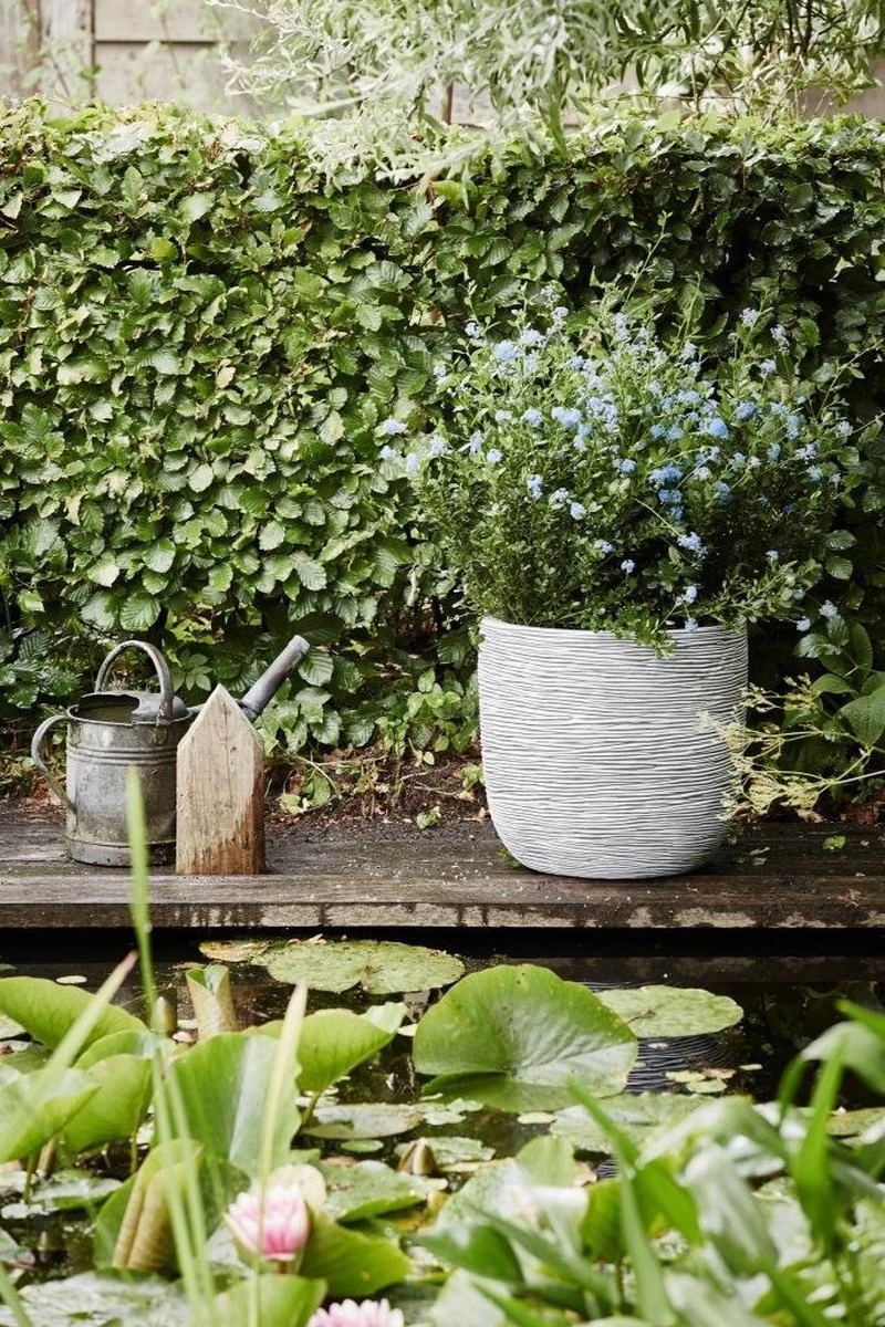 Capi Europe - Bloempot Bol Rib NL - 35x34 - Ivoor - Voor Binnen En Buiten - KOFI932 12 Capi Europe - Bloempot Bol Rib NL - 35x34 - Ivoor - Voor Binnen En Buiten - KOFI932 - Afbeelding 12