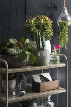 Mica Decorations Lester Bloempot - H31 X Ø33 Cm - Terracotta - Groen 15 Mica Decorations Lester Bloempot - H31 X Ø33 Cm - Terracotta - Groen -Tuin En Buiten 800x1200 60