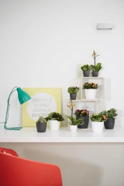 Elho B.for Soft Rond 30 - Bloempot Voor Binnen - Ø 29.5 X H 27.6 Cm - Antraciet 13 Elho B.for Soft Rond 30 - Bloempot Voor Binnen - Ø 29.5 X H 27.6 Cm - Antraciet -Tuin En Buiten 800x1200 61