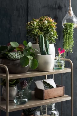 Mica Decorations Lester Bloempot - H22 X Ø24 Cm - Terracotta - Groen 7 Mica Decorations Lester Bloempot - H22 X Ø24 Cm - Terracotta - Groen -Tuin En Buiten 800x1200 64