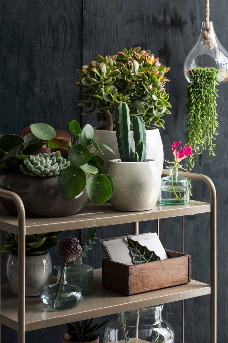 Mica Decorations Lester Bloempot - H22 X Ø24 Cm - Terracotta - Groen 4 Mica Decorations Lester Bloempot - H22 X Ø24 Cm - Terracotta - Groen - Afbeelding 4