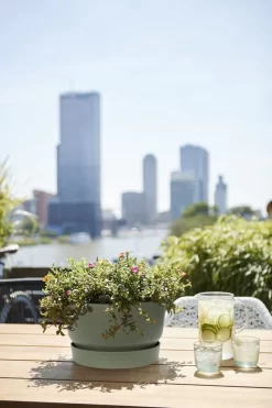 Elho Greenville Schaal 33 - Bloempot Voor Buiten - Ø 32.5 X H 19.4 Cm - Groen/Blad Groen 10 Elho Greenville Schaal 33 - Bloempot Voor Buiten - Ø 32.5 X H 19.4 Cm - Groen/Blad Groen -Tuin En Buiten 800x1200 66