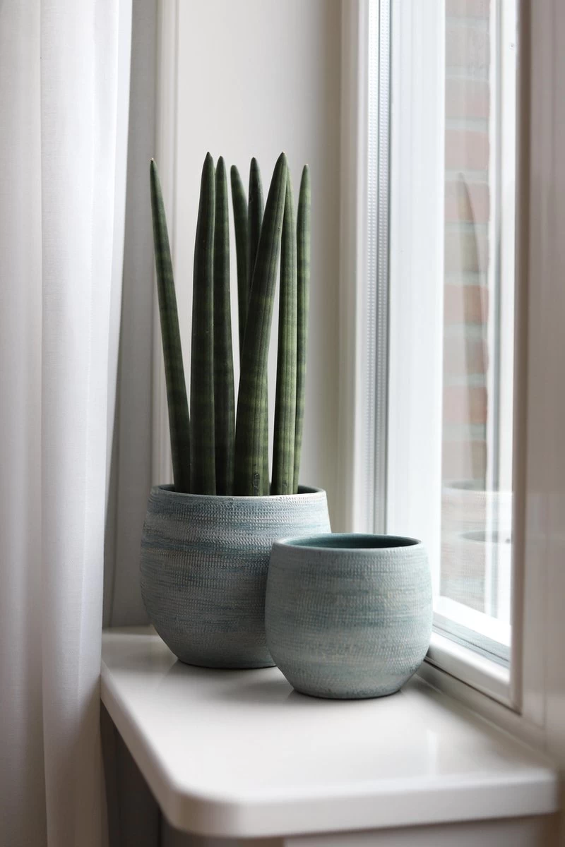 Tokio Bloempot Blauw Aqua D28 X H26 Cm - Nieuwe Collectie 4 Tokio Bloempot Blauw Aqua D28 X H26 Cm - Nieuwe Collectie - Afbeelding 4