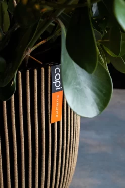 Capi Europe - Bloempot Bol Groove NL - 35x34 - Goud - Voor Binnen En Buiten - KGVGB932 -Tuin En Buiten 800x1200 71