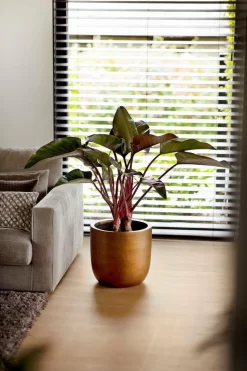 Capi Europe - Bloempot Bol Retro - 23x21 - Goud - Bloempot Voor Binnen - BRTG134 -Tuin En Buiten 800x1200 78