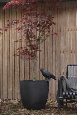 Capi Europe - Bloempot Bol Smooth NL - 43x41 - Zwart - Voor Binnen En Buiten - KBL933 -Tuin En Buiten 800x1200 80