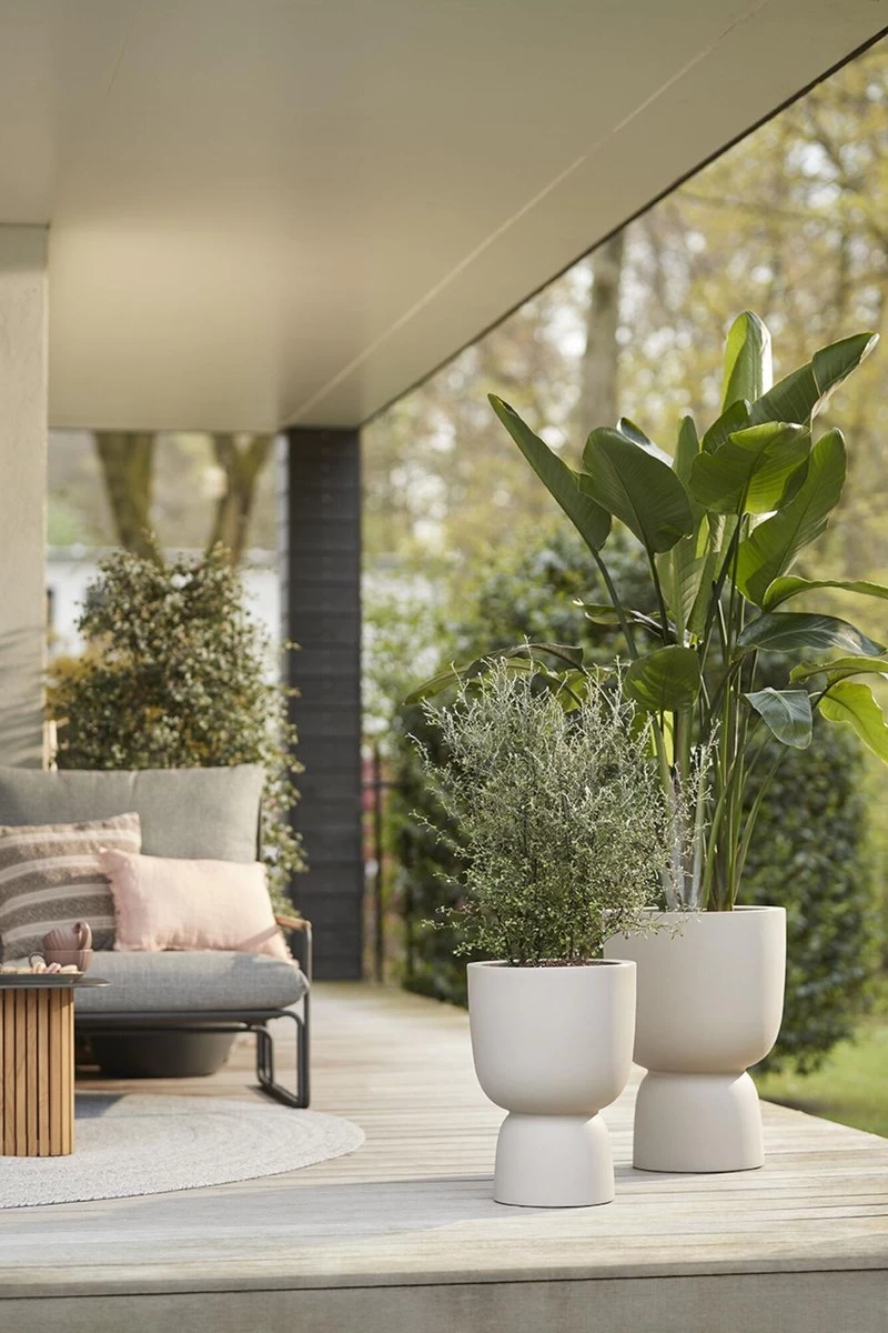 Elho Pure Coupe 35 - Bloempot Voor Binnen & Buiten - Ø 34.9 X H 49.0 Cm - Beige/Balanced Beige 3 Elho Pure Coupe 35 - Bloempot Voor Binnen & Buiten - Ø 34.9 X H 49.0 Cm - Beige/Balanced Beige - Afbeelding 3