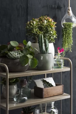 Mica Decorations Lester Bloempot - H31 X Ø33 Cm - Terracotta - Groen 18 Mica Decorations Lester Bloempot - H31 X Ø33 Cm - Terracotta - Groen -Tuin En Buiten 801x1200 5